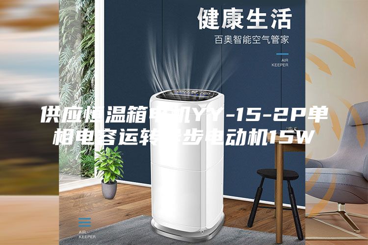 供应恒温箱电机YY-15-2P单相电容运转异步电动机15W