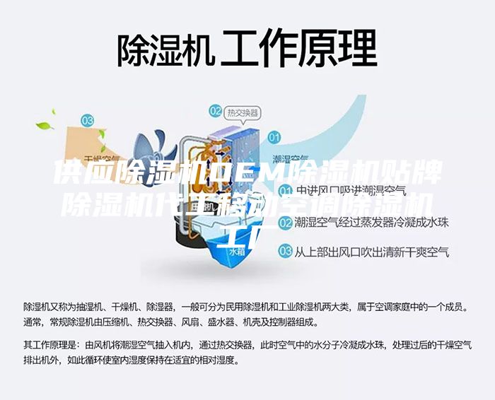 供应除湿机OEM除湿机贴牌除湿机代工移动空调除湿机工厂