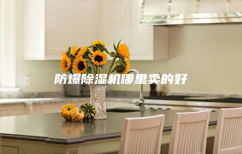 防爆除湿机哪里卖的好
