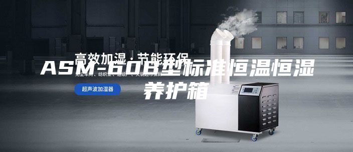 ASM-60B型标准恒温恒湿养护箱