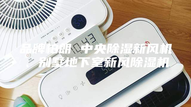 品牌柏朗 中央除湿新风机、别墅地下室新风除湿机