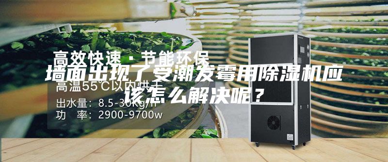 墙面出现了受潮发霉用除湿机应该怎么解决呢？
