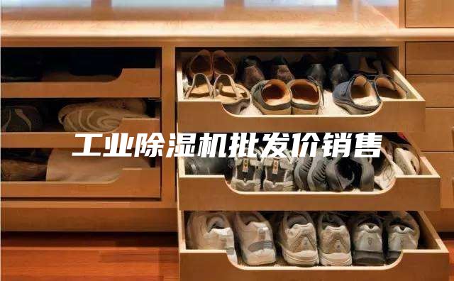 工业除湿机批发价销售