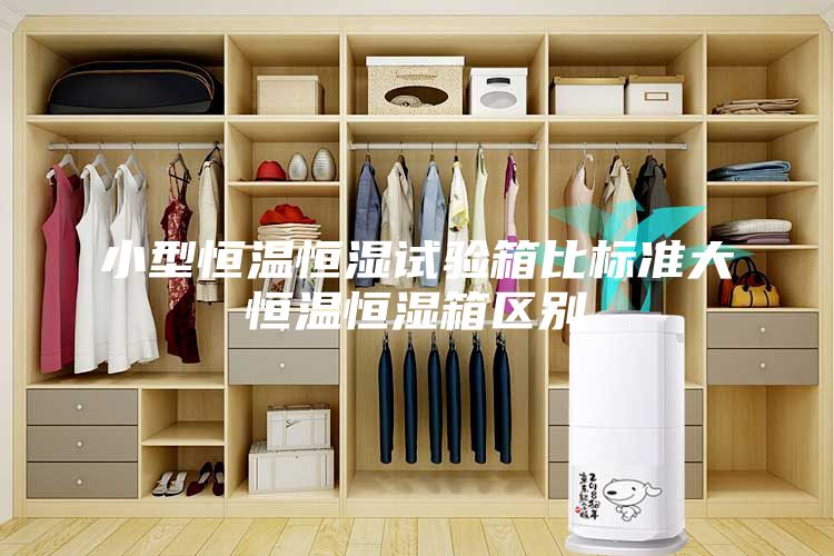 小型恒温恒湿试验箱比标准大恒温恒湿箱区别