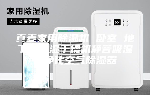 真麦家用除湿机 卧室 地下室去湿干燥机静音吸湿器净化空气除湿器