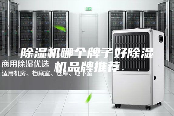 除湿机哪个牌子好除湿机品牌推荐