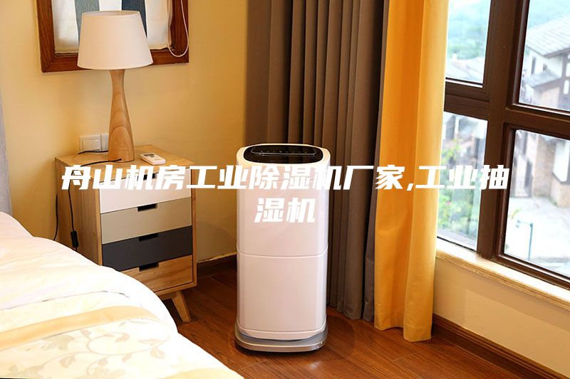 舟山机房工业除湿机厂家,工业抽湿机