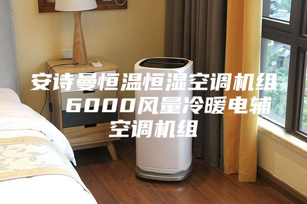 安诗曼恒温恒湿空调机组  6000风量冷暖电辅空调机组