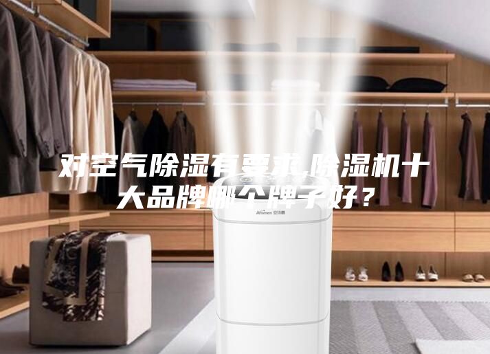 对空气除湿有要求,除湿机十大品牌哪个牌子好？