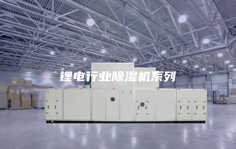锂电行业除湿机系列
