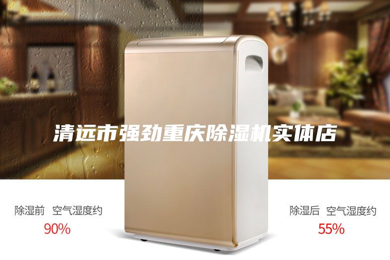 清远市强劲重庆除湿机实体店