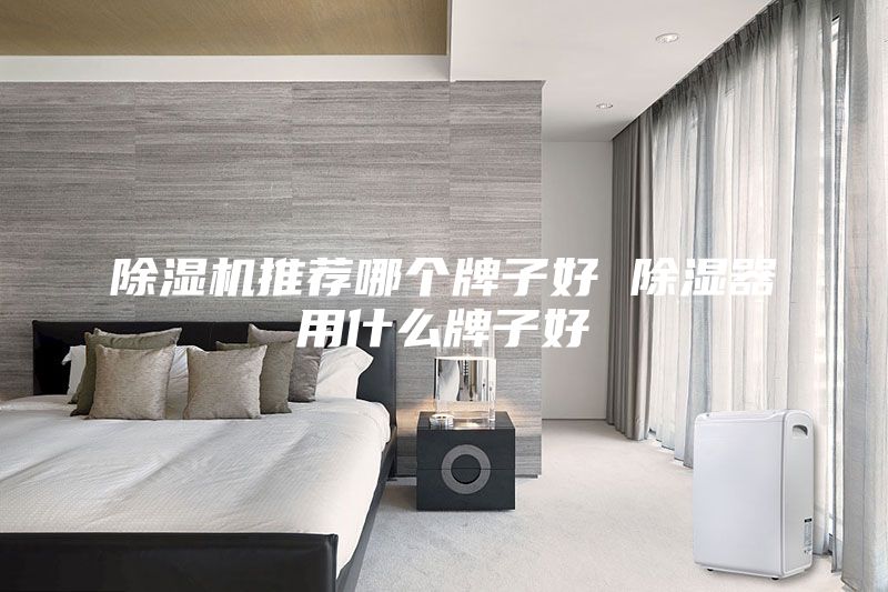 除湿机推荐哪个牌子好 除湿器用什么牌子好