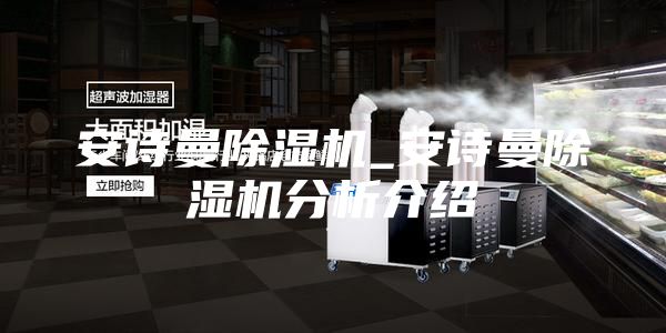 安诗曼除湿机_安诗曼除湿机分析介绍