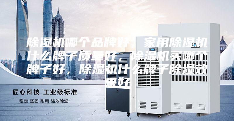 除湿机哪个品牌好，家用除湿机什么牌子质量好，除湿机买哪个牌子好，除湿机什么牌子除湿效果好