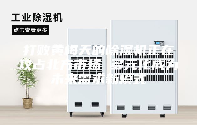 打败黄梅天的除湿机正在攻占北方市场 多元化成为未来需求新模式