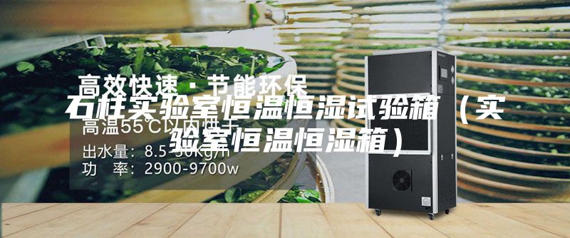 石柱实验室恒温恒湿试验箱（实验室恒温恒湿箱）