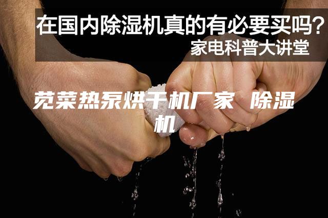 苋菜热泵烘干机厂家 除湿机