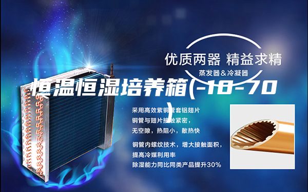 恒温恒湿培养箱(-10-70 ℃）