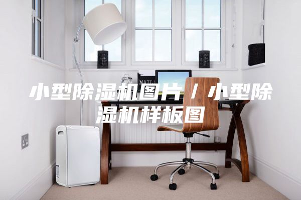 小型除湿机图片／小型除湿机样板图
