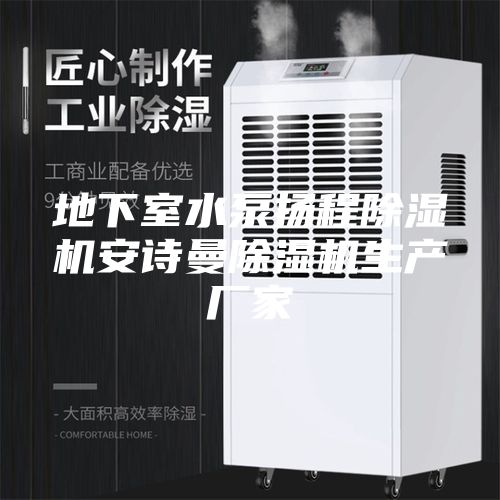 地下室水泵扬程除湿机安诗曼除湿机生产厂家