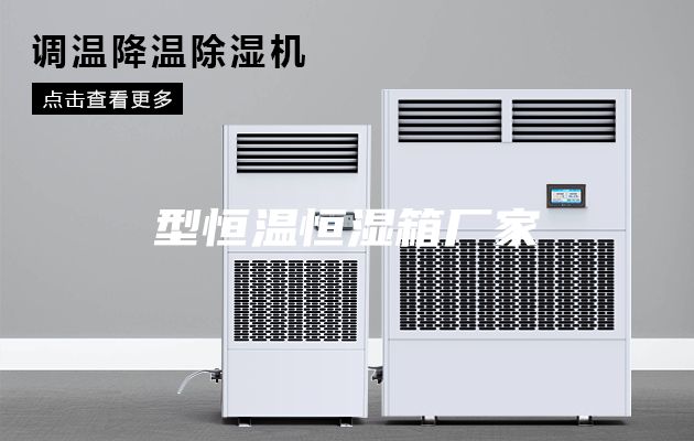 型恒温恒湿箱厂家