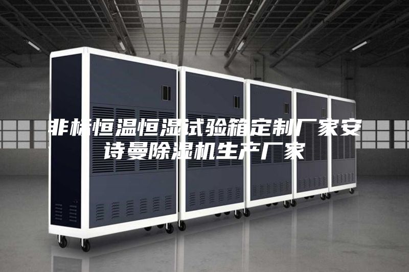 非标恒温恒湿试验箱定制厂家安诗曼除湿机生产厂家