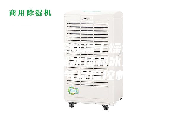 工业转轮除湿干燥设备解决室内溜冰场和冰球场的空气湿度控制