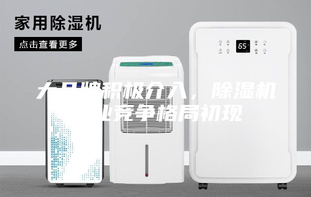 大品牌积极介入，除湿机行业竞争格局初现