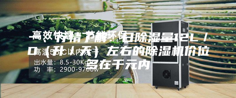 一、行情了解：日除湿量12L／D（升／天）左右的除湿机价位多在千元内