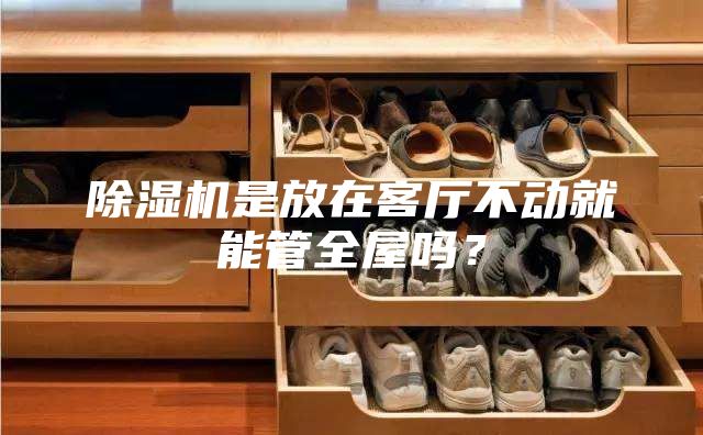 除湿机是放在客厅不动就能管全屋吗？