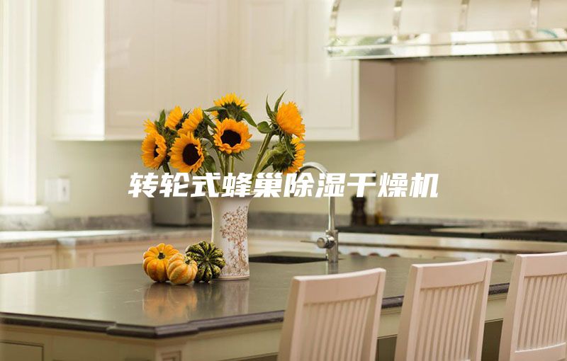 转轮式蜂巢除湿干燥机