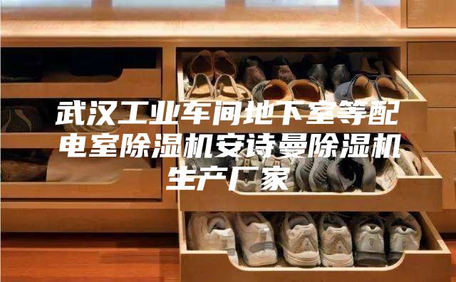 武汉工业车间地下室等配电室除湿机安诗曼除湿机生产厂家