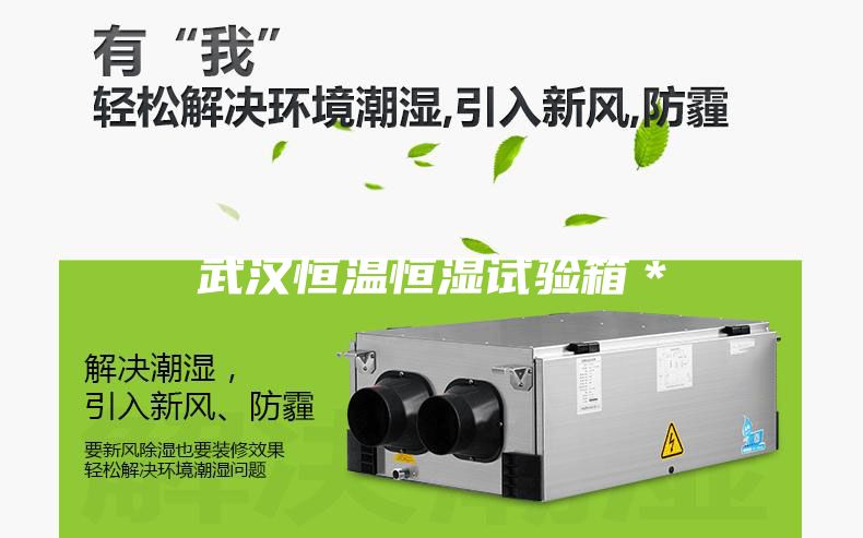 武汉恒温恒湿试验箱＊