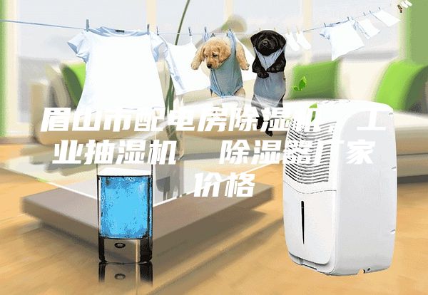 眉山市配电房除湿机，工业抽湿机  除湿器厂家 价格