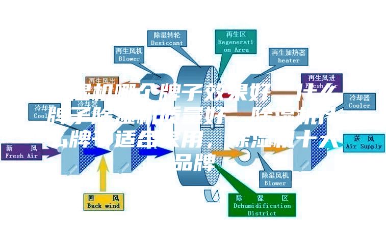 除湿机哪个牌子效果好，什么牌子除湿机质量好，除湿机什么牌子适合家用，除湿机十大品牌