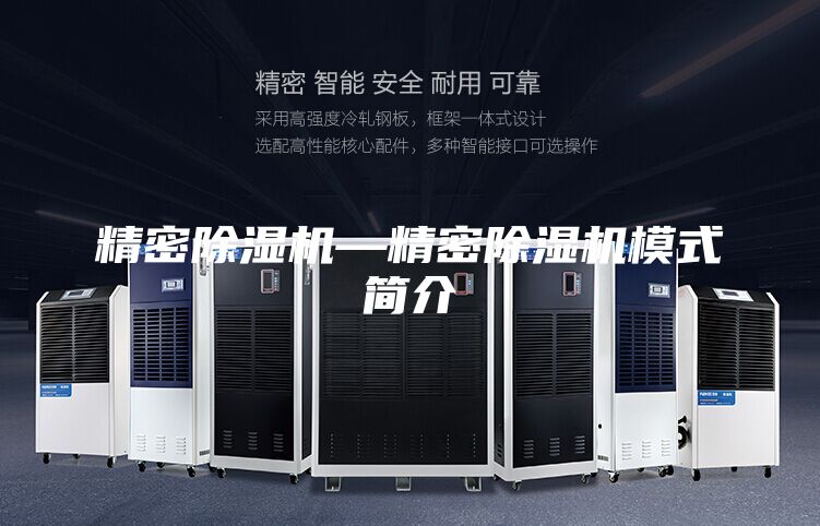 精密除湿机—精密除湿机模式简介