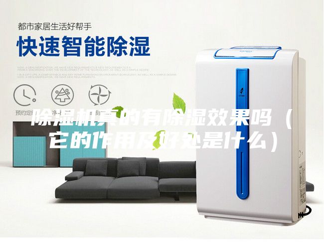 除湿机真的有除湿效果吗（它的作用及好处是什么）
