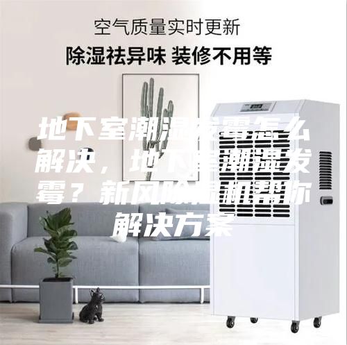 地下室潮湿发霉怎么解决，地下室潮湿发霉？新风除湿机帮你解决方案