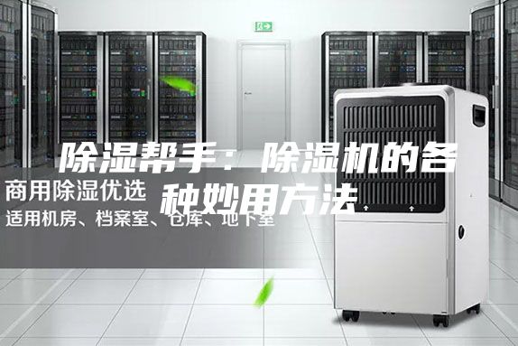 除湿帮手：除湿机的各种妙用方法