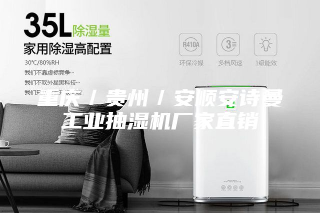 重庆／贵州／安顺安诗曼工业抽湿机厂家直销