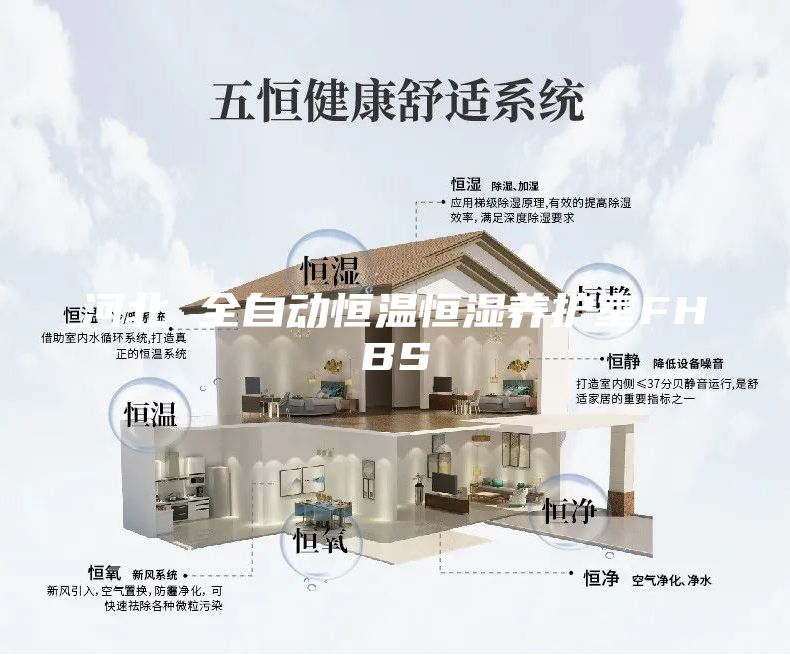 河北 全自动恒温恒湿养护室FHBS