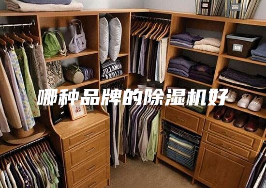 哪种品牌的除湿机好