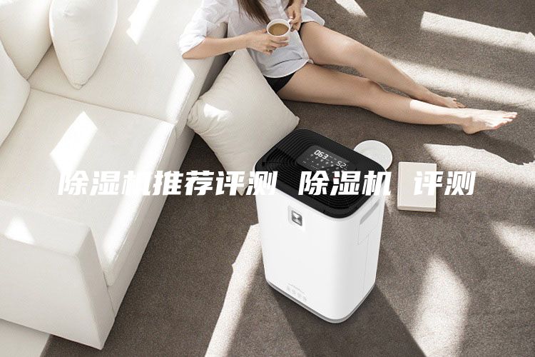 除湿机推荐评测 除湿机 评测