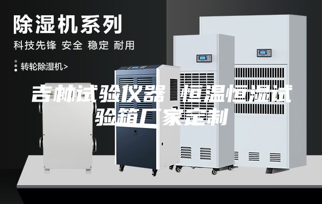 吉林试验仪器 恒温恒湿试验箱厂家定制