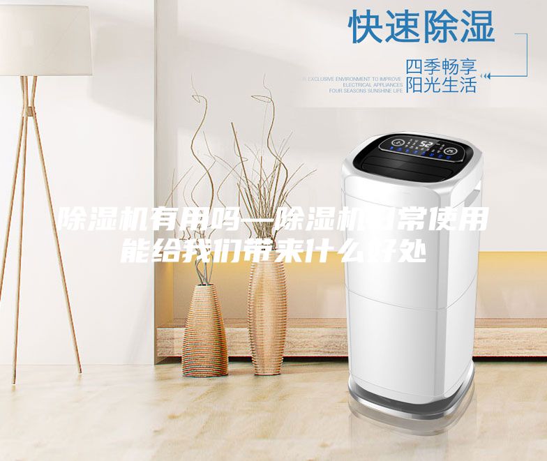 除湿机有用吗—除湿机日常使用能给我们带来什么好处