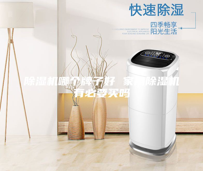 除湿机哪个牌子好 家用除湿机有必要买吗