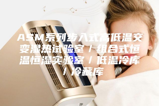 ASM系列步入式高低温交变湿热试验室／组合式恒温恒湿实验室／低温冷库／冷藏库