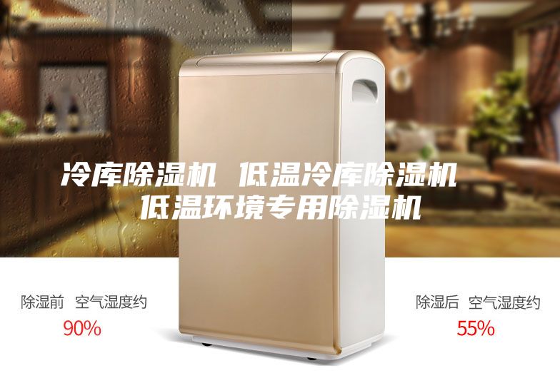 冷库除湿机 低温冷库除湿机  低温环境专用除湿机