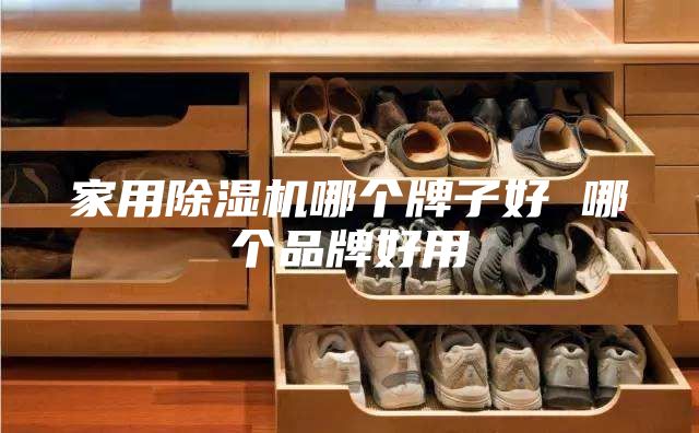 家用除湿机哪个牌子好 哪个品牌好用