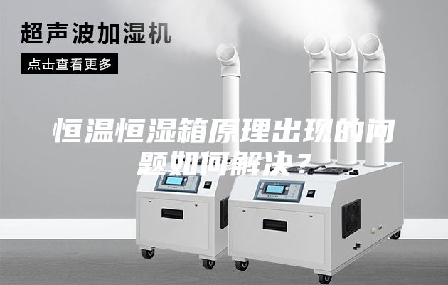 恒温恒湿箱原理出现的问题如何解决？